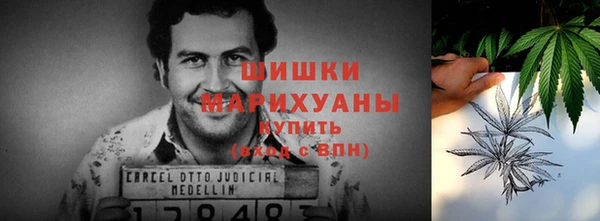 прущие крисы Инта