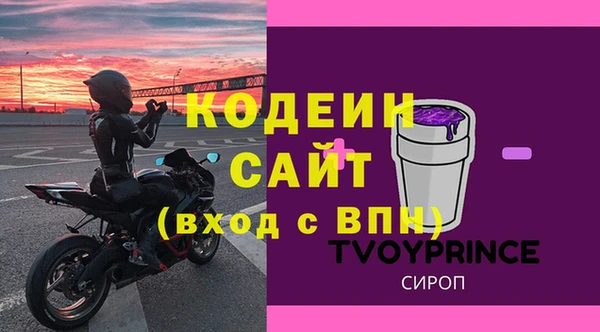 прущие крисы Инта
