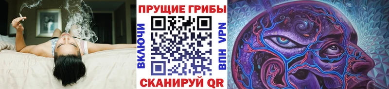 OMG   купить наркотики цена  Дивногорск  Галлюциногенные грибы Magic Shrooms 