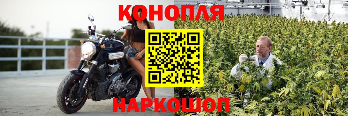 Конопля план  Вход с VPN  Дивногорск  Бошки Шишки VHQ 
